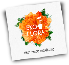 Logo_ekoflora